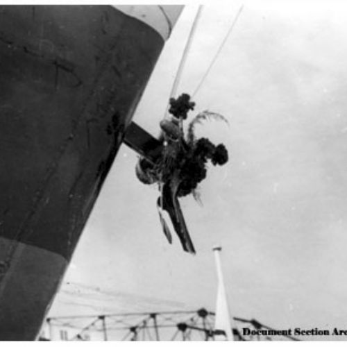 La Force Navale prend possession du Zinnia