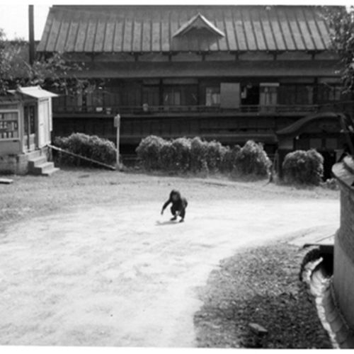 Singapour, photo Lucien vandaele